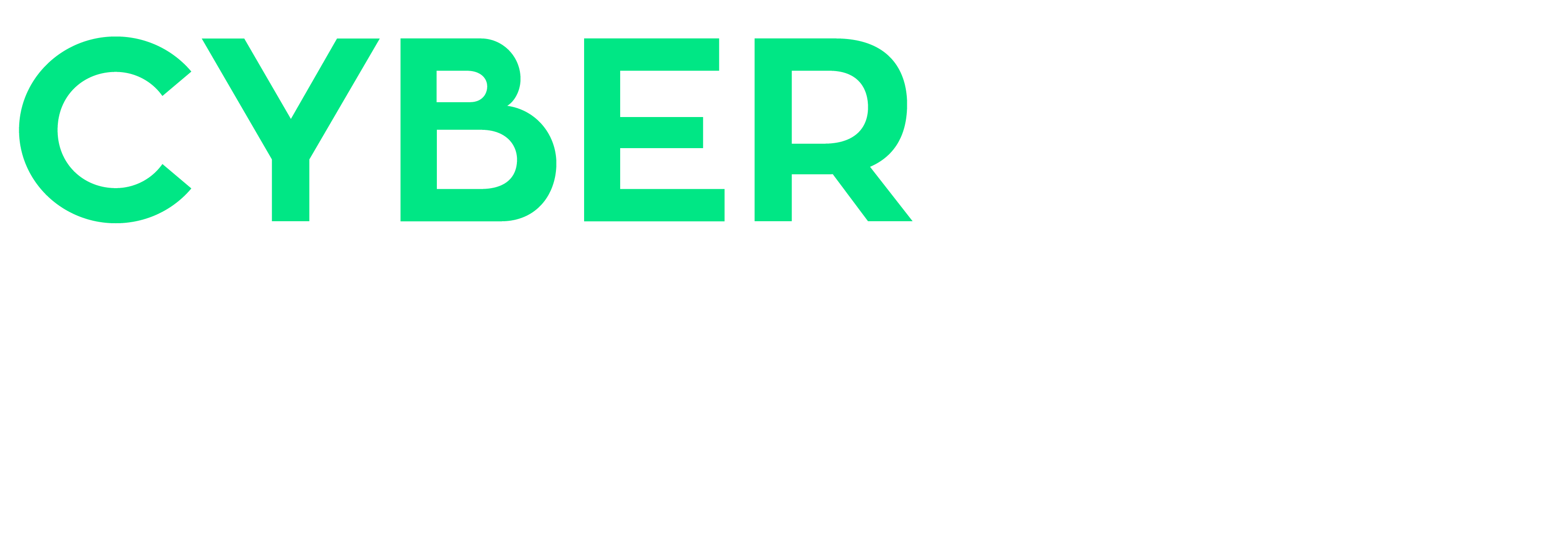 Cyber Resilience